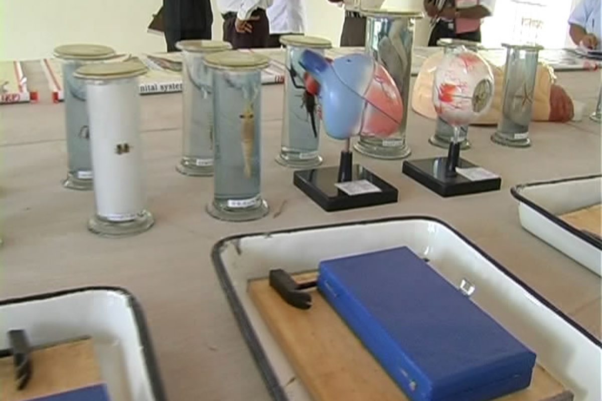Biology Models
